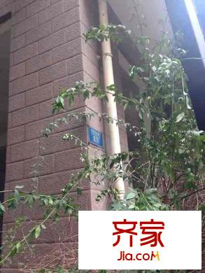 天澤苑