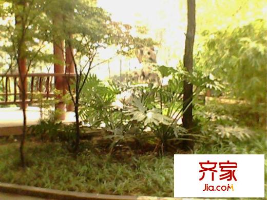 長(zhǎng)盛花園外景圖陽明華庭8