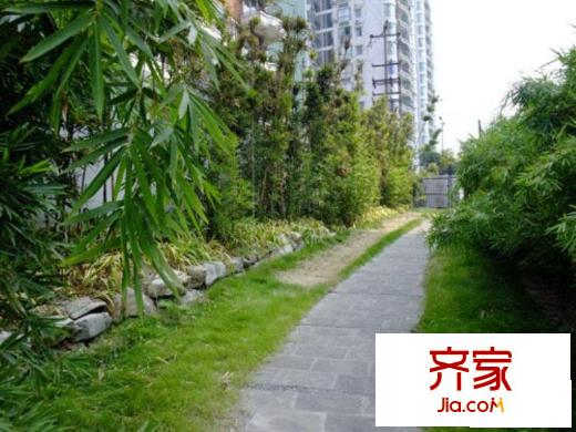 江南世家外景圖小區(qū)相關(guān)圖_12