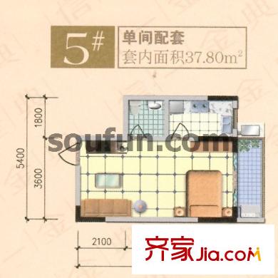 信一金典戶型圖5#單間配套 1室1衛(wèi)1廚