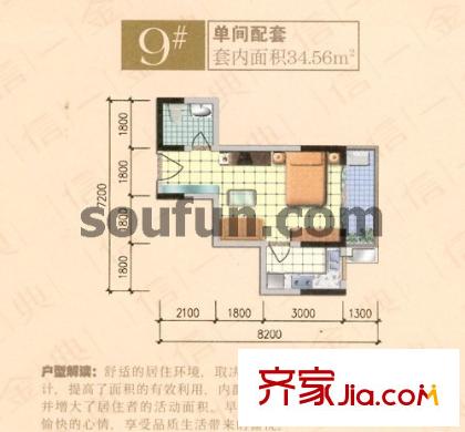 信一金典戶型圖9#單間配套 1室1衛(wèi)1廚