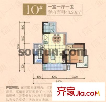信一金典戶型圖10# 1室1廳1衛(wèi)1廚