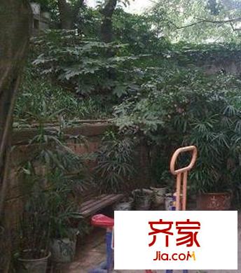 渝中區(qū)人和街外景圖人和街6