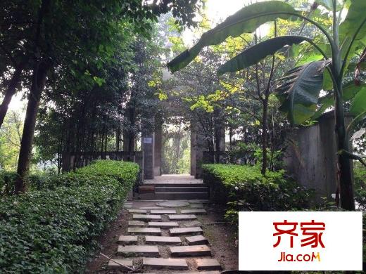 香逸半山外景圖 