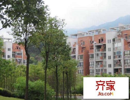 縉云小區(qū)實景圖2