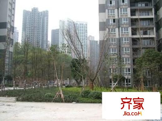 龍頭寺吉安園外景圖 