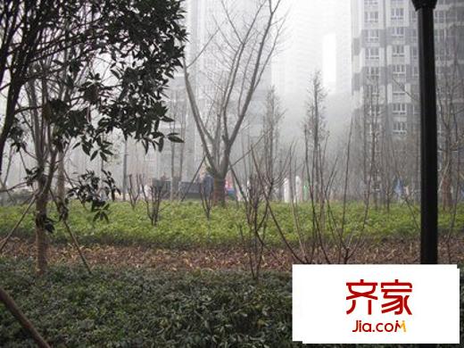 龍頭寺吉安園外景圖 