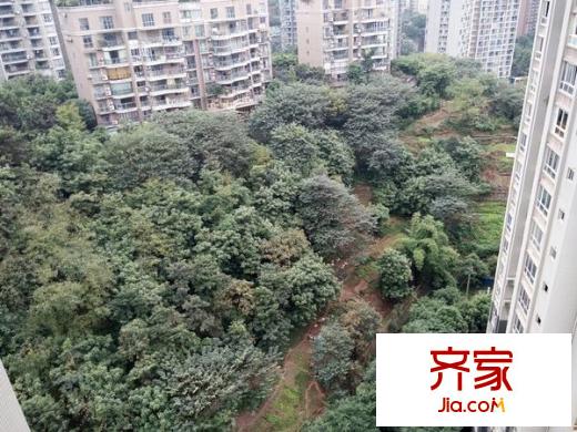 龍頭寺吉安園外景圖 