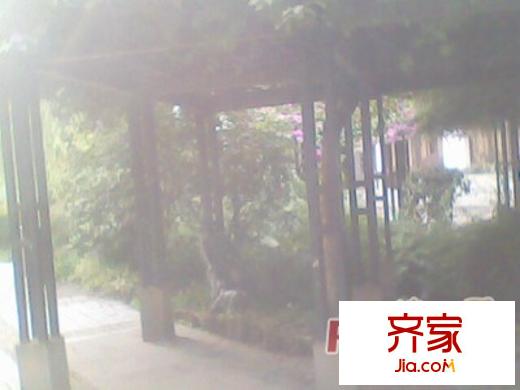 九龍花園外景圖