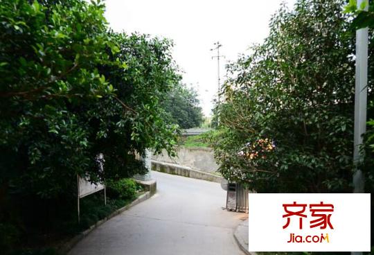 藍(lán)色經(jīng)典外景圖4
