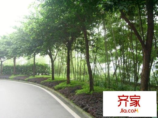 山水綠城外景圖小區(qū)相關(guān)圖_3