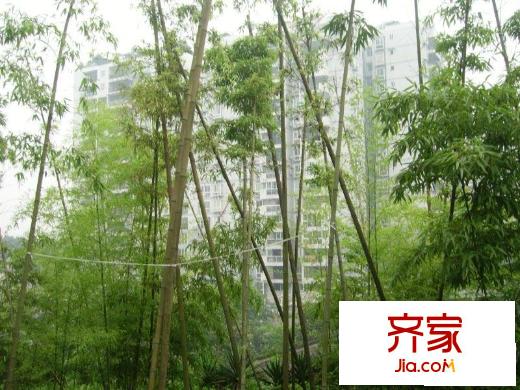 山水綠城外景圖小區(qū)相關(guān)圖_6