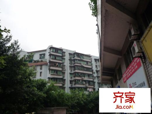 北泉路小區(qū)外景圖北泉路8