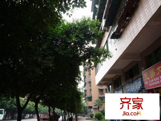 北泉路