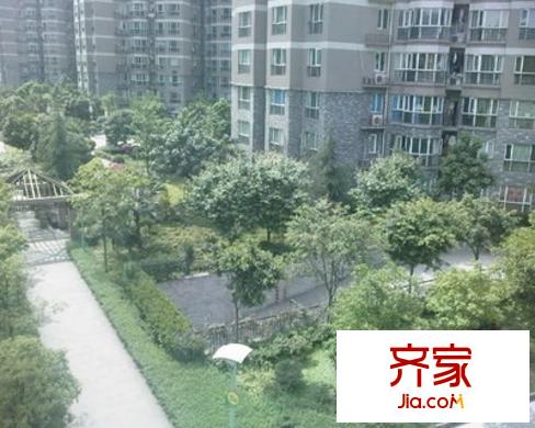 華麗家族外景圖8