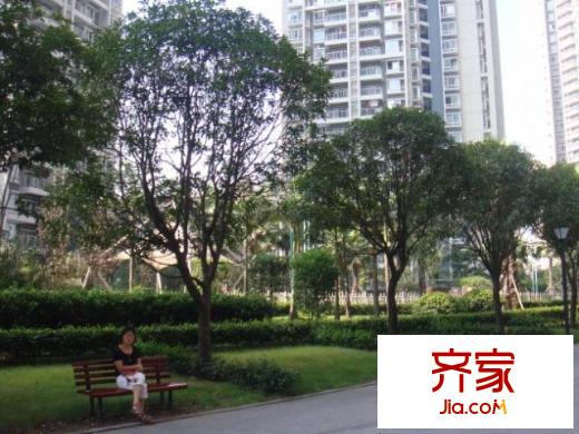 華麗家族外景圖21