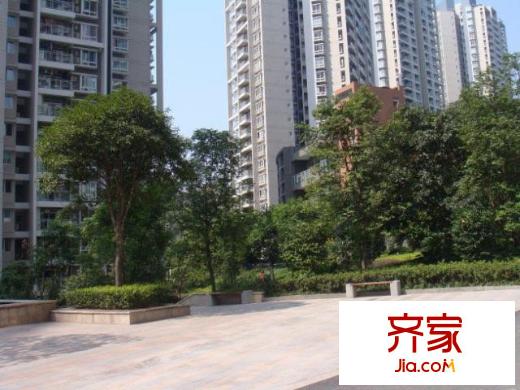 華麗家族外景圖19