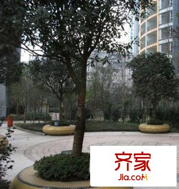 鳳鳴山水國際外景圖