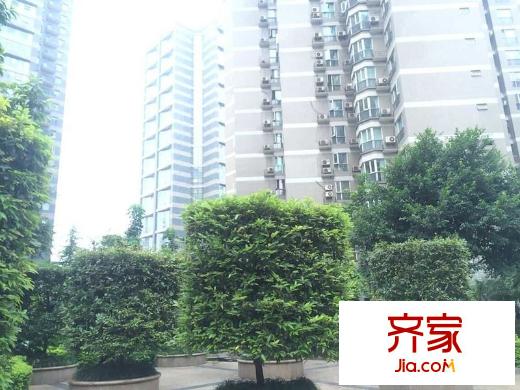 華麗家族外景圖