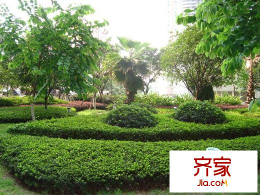 金城國際外景圖