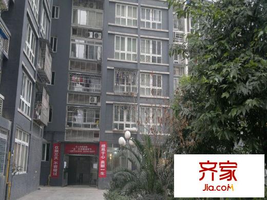 金城國際外景圖 