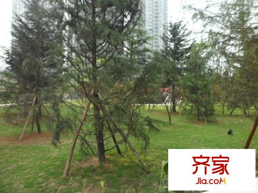 金地豪苑外景圖 
