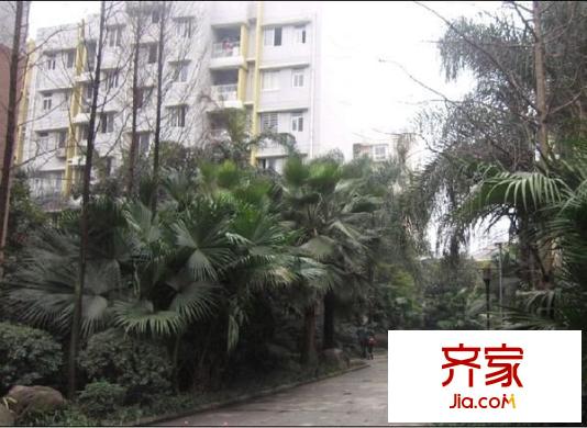世紀(jì)陽(yáng)光新尚城外景圖 