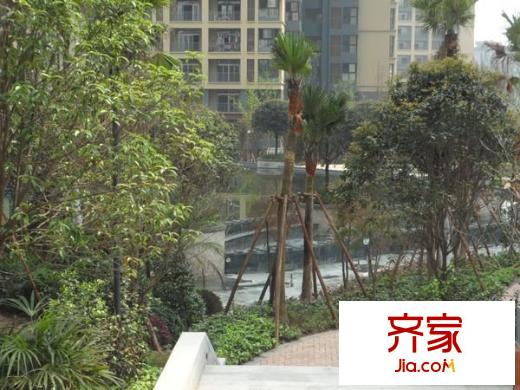 金地豪苑外景圖 