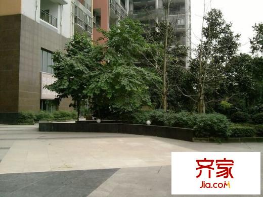 金地豪苑外景圖 