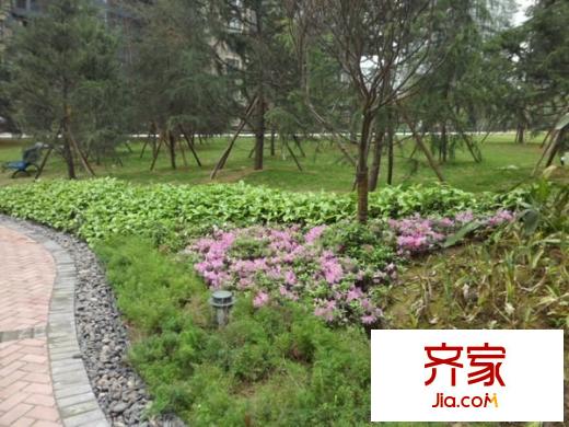 金地豪苑外景圖 