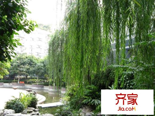 芳草地自由港灣外景圖小區(qū)相關(guān)圖_3