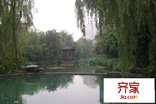 金科天籟城紫園