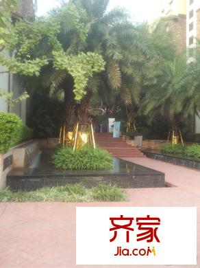 花千樹(龍湖)