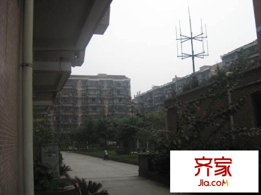 人民路小區(qū)外景圖人民路8