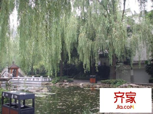 金科天籟城紫園外景圖