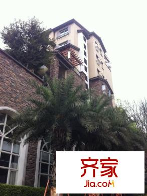 花千樹(龍湖)外景圖 