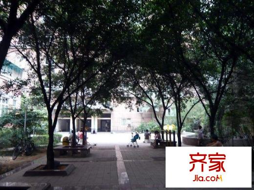 都市風采外景圖