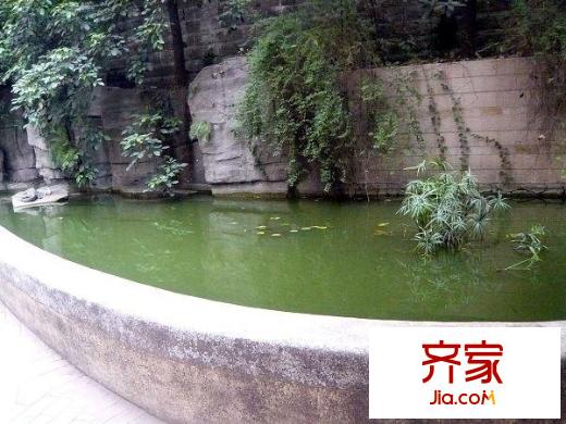 都市風采外景圖