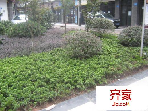 千竹景苑外景圖千竹景園
