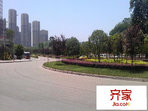 澤京微V外景圖周邊綠化環(huán)境