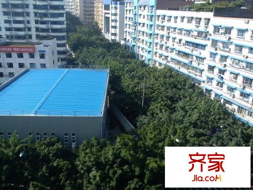 麗景天成外景圖 