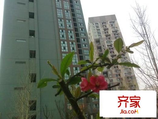 偉岸摩登堡外景圖 