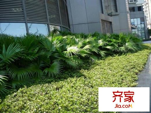 偉岸摩登堡外景圖 