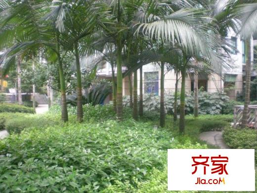 清邁陽光外景圖