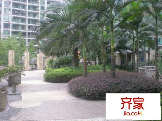 清邁陽光