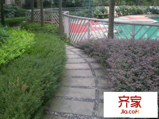 清邁陽光外景圖