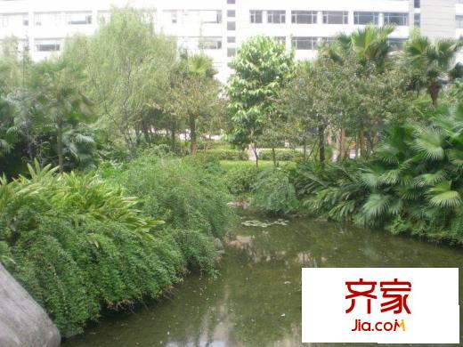 清邁陽(yáng)光外景圖