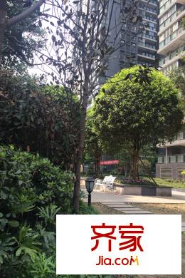 盛美居小區(qū)實景（2015-03-30）