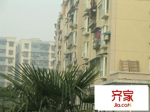 山水麗都實(shí)景圖