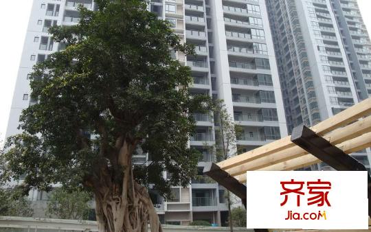 國盛偉岸濱洲外景圖實景圖